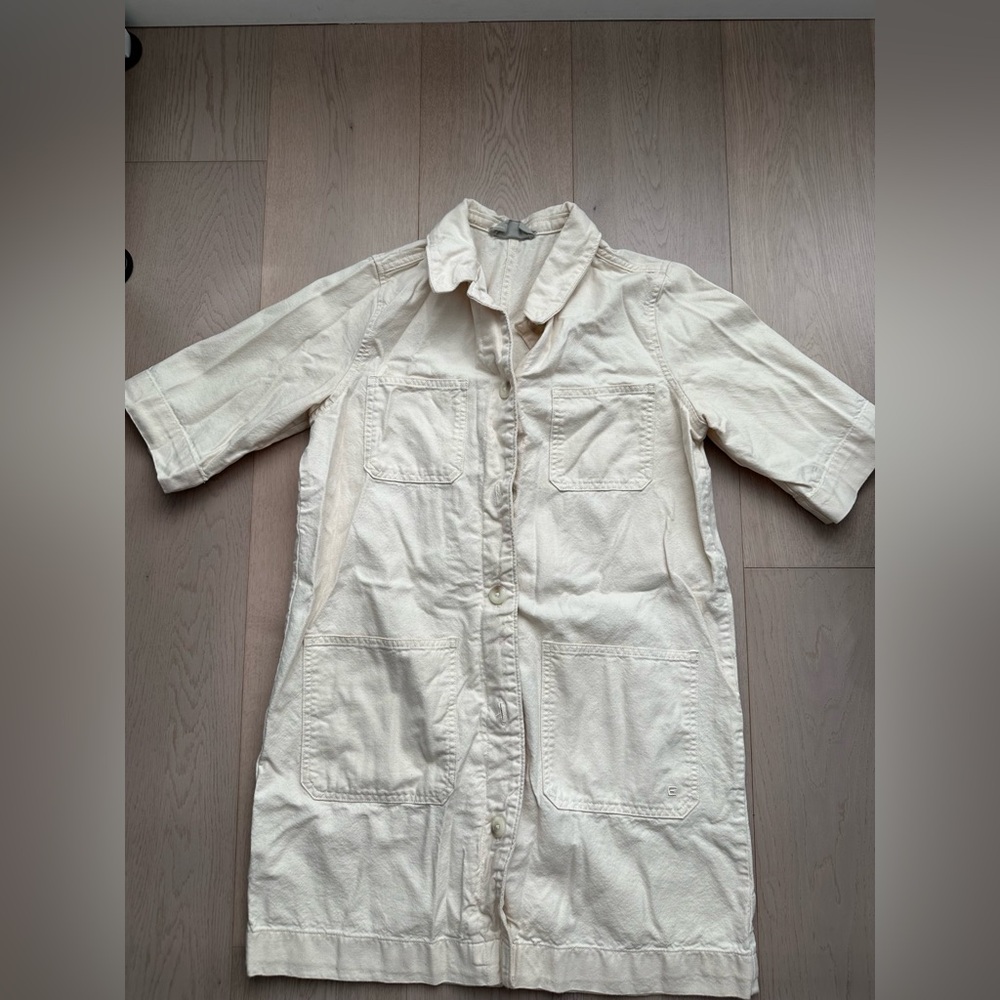 Everlane Chore Mini Dress